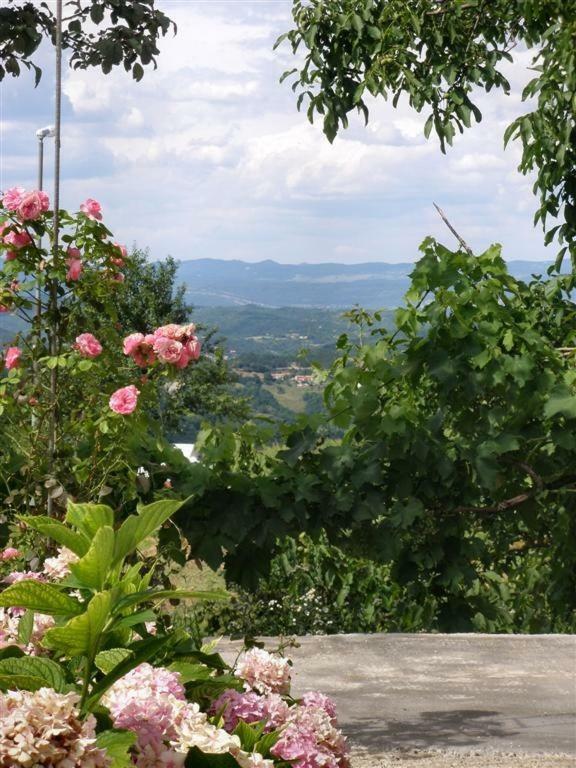 Apartman Vojskovic Gračišće Bagian luar foto